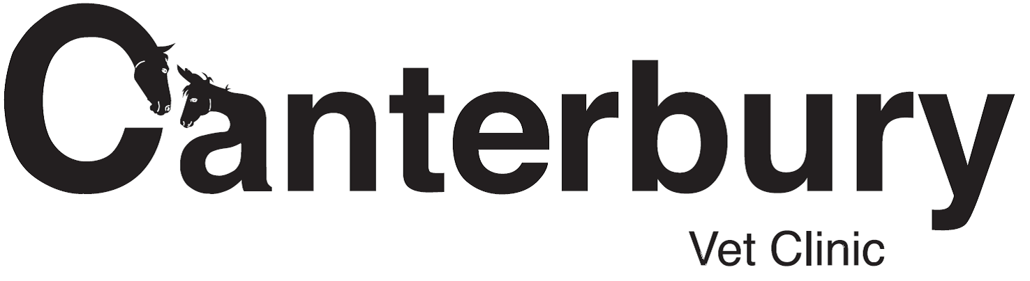 Canterbury Veterinary Clinic