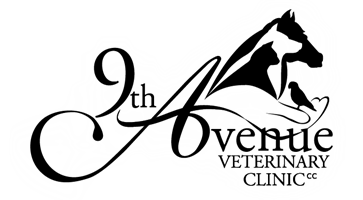 Veterinary Practices | VetDirectory